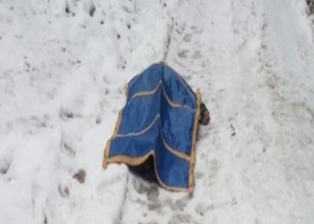 وفاة مسن تركي حاول إطعام الحيوانات وسط الثلوج ببورصة