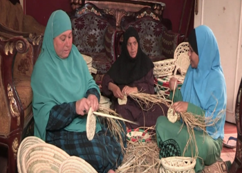 تخصيص 173 مليون جنيه لتمويل المرأة المعيلة في مصر