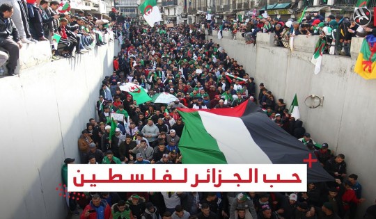 سر حب الجزائريين لفلسطين