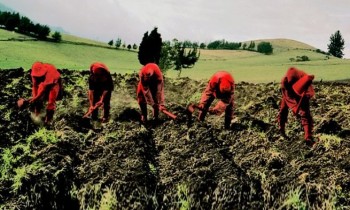 3 آلاف وظيفة مفقدوة.. أزمة المغرب وإسبانيا تصل إلى قطاع الزراعة