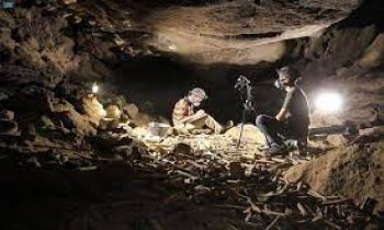 علماء يكتشفون مئات الآلاف من عظام الحيوانات والبشر في كهف بالسعودية