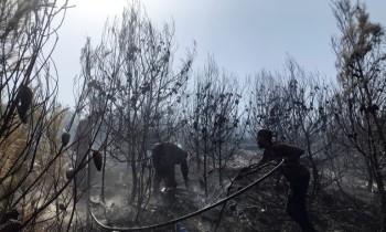 الجيش الجزائري: المغرب متورط في إشعال حرائق الغابات
