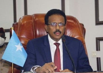نائب وزير الإعلام الصومالي: تعليق الرئيس سلطات رئيس الوزراء انقلاب غير مباشر