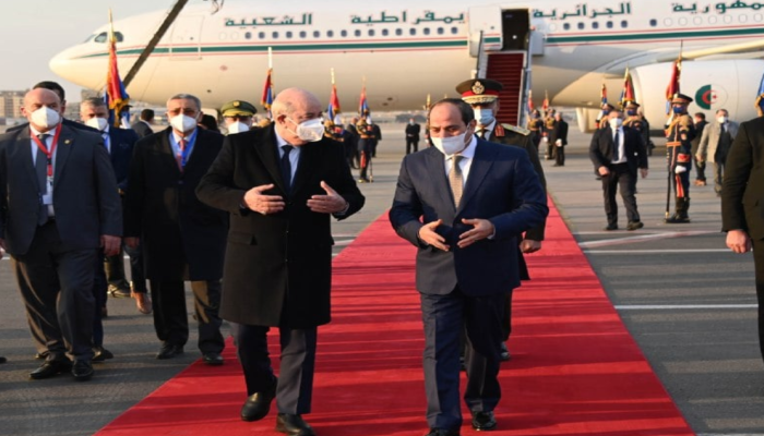 السيسي يستقبل تبون في أول زيارة لرئيس جزائري للقاهرة منذ عقدين (فيديو)