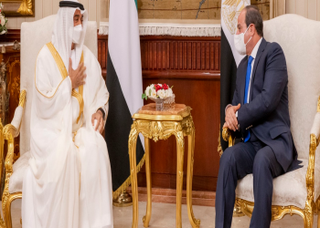 السيسي يؤكد تضامن مصر مع الإمارات ضد هجمات الحوثي