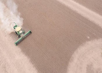 أمريكا والإمارات تخططان لاستثمارات إضافية في الزراعة من أجل المناخ 