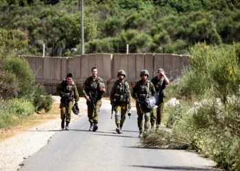 إسرائيل تعلن إحباط تهريب 100 قنبلة يدوية على حدود لبنان (شاهد)