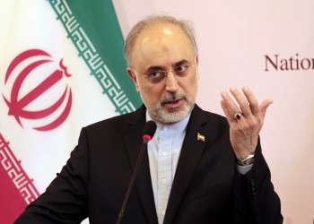 مسؤول إيراني سابق: موقفنا المنطقي والعقلاني حال دون انهيار الاتفاق النووي