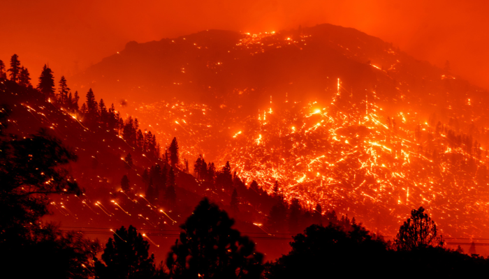 حرائق الغابات تستعر في كاليفورنيا الأمريكية.. وخسائر بملايين الدولارات