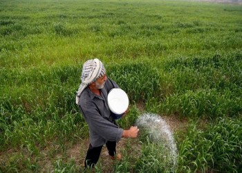 الجفاف يهدد أرز العنبر المكون الرئيسي للمائدة العراقية