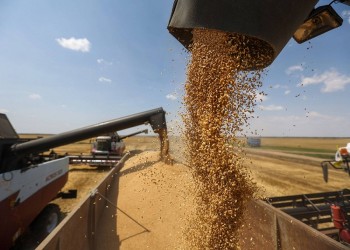 300 ألف طن من القمح اشترتها مصر ما زالت عالقة في أوكرانيا