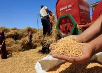 مصر.. 3 مليارات دولار أعباء إضافية بسبب ارتفاع أسعار القمح عالميا