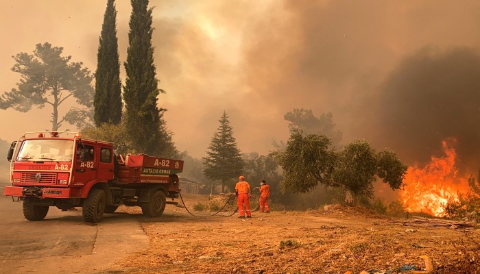 الحرائق تعود لغابات تركيا بعد عام من إخمادها