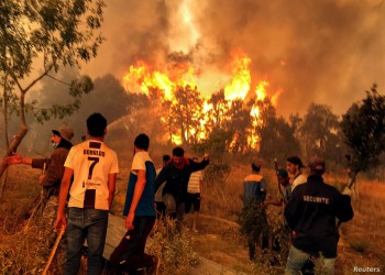 مصرع شخصين وإصابة 23 في حرائق غابات شرقي الجزائر