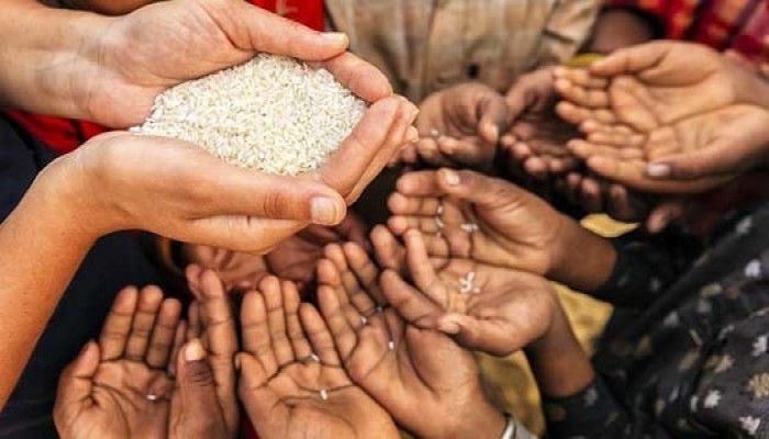 مصر. البنك الدولي يقر تمويلا بنصف مليار دولار لتعزيز الأمن الغذائي