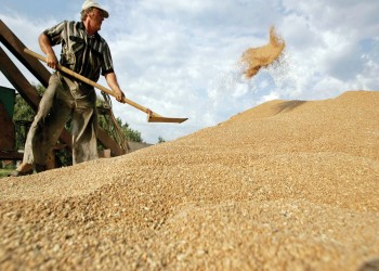 البرازيل تتوقع محصولا قياسيا من القمح في 2022