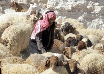 رغم التضخم.. فقراء الأردن ينتظرون حصتهم من الأضاحي