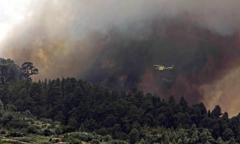 كيف يتسبب تغير المناخ في الموجات الحارة وحرائق الغابات؟