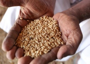 البنك الدولي يخصّص 100 مليون دولار لمكافحة الجوع في السودان