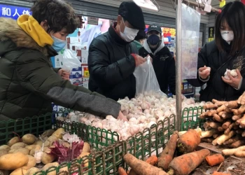 البنك الدولي يحذر من ارتفاع ضخم لأسعار الغذاء بسبب أزمة أوكرانيا
