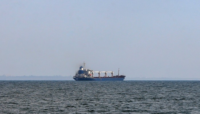 5 سفن حبوب أوكرانية تتحرك إلى وجهاتها بعد تفتيشها بإسطنبول