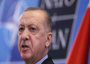 الإندبندنت: زيارة أردوغان إلى أوكرانيا لتعزيز نفوذ تركيا