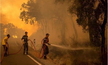 بعد وفاة 3 إطفائيين.. المغرب يسيطر على حريق غابات ضخم