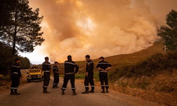 توقيف 4 متهمين بإشعال حرائق الغابات في الجزائر