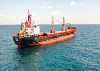 12 سفينة حبوب تغادر أوكرانيا بموجب اتفاق إسطنبول