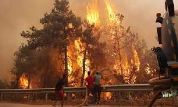 تركيا.. السيطرة على حريق غابات جنوبي البلاد