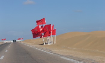 الإمارات تقود مبادرة من 35 دولة لدعم سيادة المغرب على الصحراء الغربية