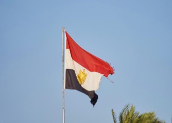 كيف استقبل المصريون بالخارج مبادرة العودة الآمنة؟