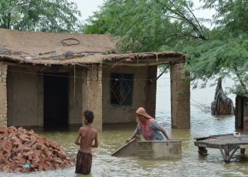 باكستان بعد الفيضانات.. تفش سريع للملاريا وتسجيل 324 وفاة