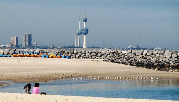 الكويت تحذر مرتادي الشواطئ من سمكة قرش في مياه الخليج