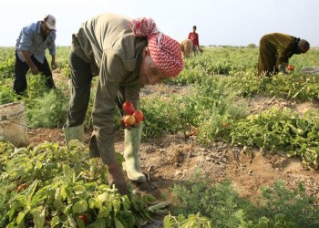 البنك الدولي يمنح الأردن 125 مليون دولار لدعم التنمية الزراعية