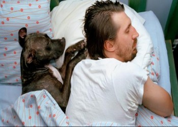 دراسة تحذر من مخاطر مصابيح الليد: تعيق القدرة على النوم لدى البشر والحيوانات