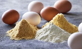 البيض البودرة يثير جدلًا كبيرًا في مصر.. فهل يوازي قيمة الطبيعي؟